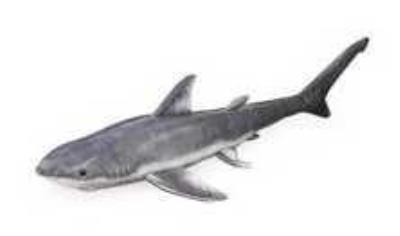 Opakowanie Rekin 130cm