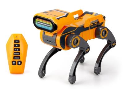 Opakowanie Robo Express pomarańczowy