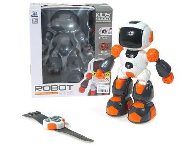 Opakowanie Robot na radio z funkcją nagrywania