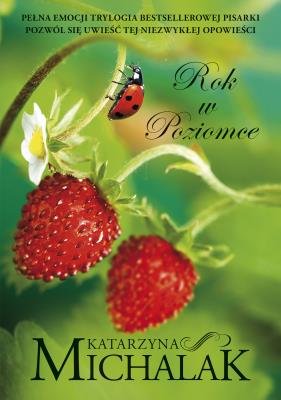 Okładka książki Rok w poziomce wyd. 2023