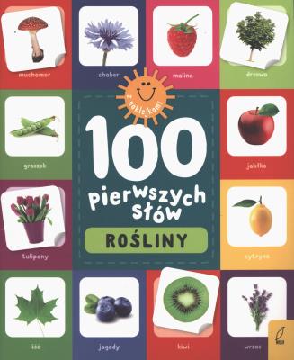 Okładka książki Rośliny. 100 pierwszych słów