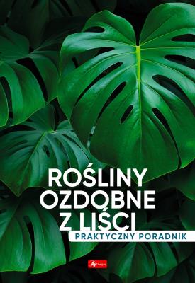 Rośliny ozdobne z liści. Poradnik praktyczny - uszkodzone. Autor: Opracowanie zbiorowe. SmakLiter.pl Okładka książki Rośliny ozdobne z liści. Poradnik praktyczny - uszkodzone