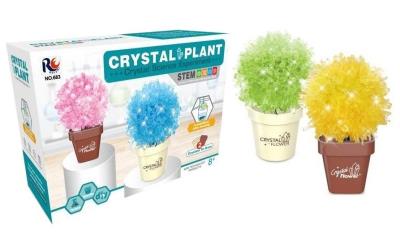 Opakowanie Rosnące kryształy mix