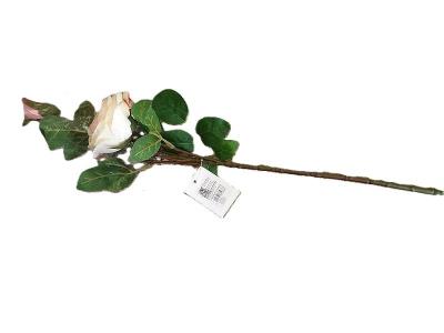 Opakowanie Róża piankowa 53cm