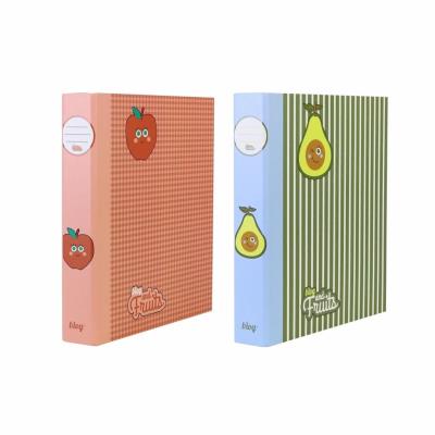 Opakowanie Segregator A4/2R 5cm Fruits