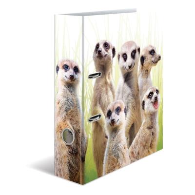 Opakowanie Segregator A4 - Surykatki