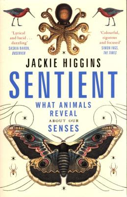Sentient What Animals Reveal A. Autor: Higgins Jackie. SmakLiter.pl Okładka książki Sentient What Animals Reveal A