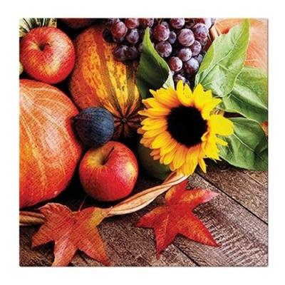 Opakowanie Serwertki Jesienne skarby 33x33cm 20szt