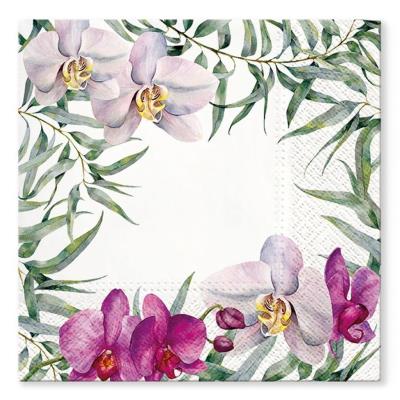 Opakowanie Serwertki Orchidea 33x33cm 20szt