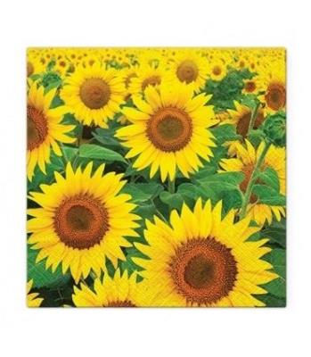 Opakowanie Serwertki Pole słoneczników 33x33cm 20szt