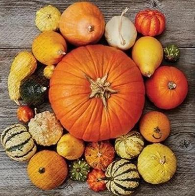 Opakowanie Serwetki Dynia 33x33cm 20szt