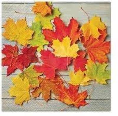 Opakowanie Serwetki Liście na drewnie 33x33cm 20szt