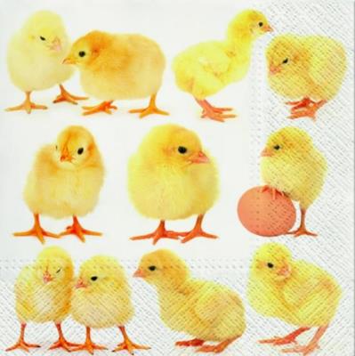 Opakowanie Serwetki Małe kurczaczki 33x33cm 20szt