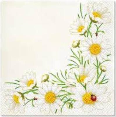 Opakowanie Serwetki Margaretki 33x33cm 20szt