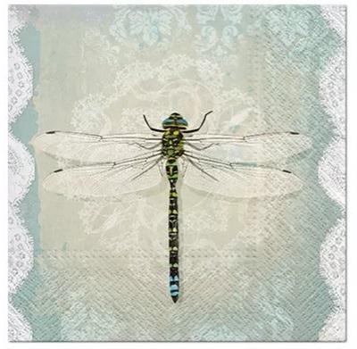 Okładka książki SERWETKI NR 67 SDL858000 BPZ-PAW