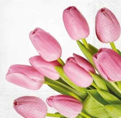 Opakowanie Serwetki Tulipany 33x33cm 20szt