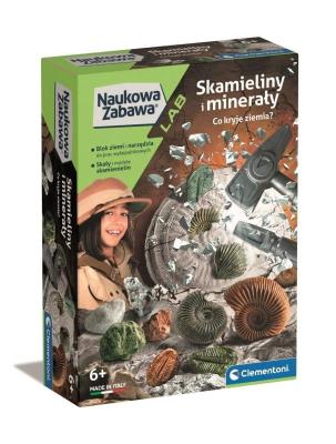 Opakowanie Skamieliny i mineraly