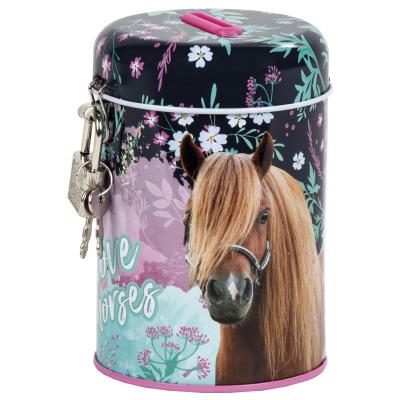 Opakowanie Skarbonka z kłódką Konie 23