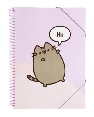 Opakowanie Skoroszyt A4 z gumką Pusheen CFA405 30 kartek