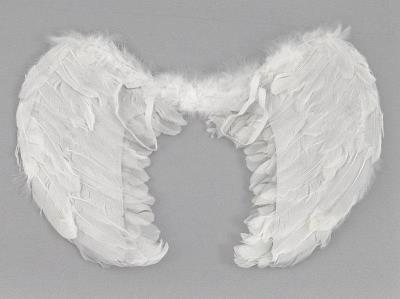 Opakowanie Skrzydełka anioła