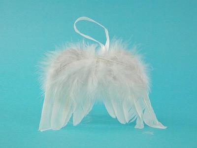 Opakowanie Skrzydełka Anioła