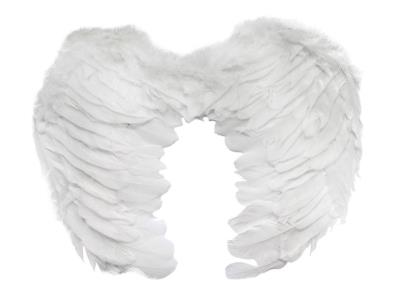 Opakowanie Skrzydełka cherubina