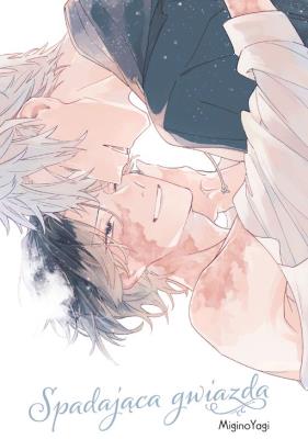 Okładka książki Spadająca gwiazda