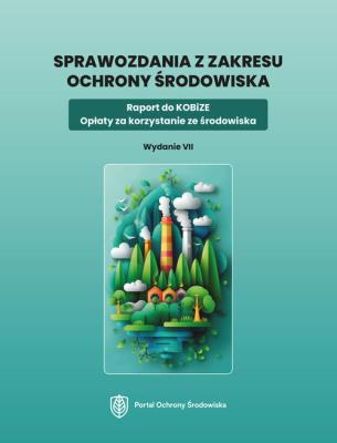 Opakowanie Sprawozdania z zakresu ochrony środowiska. Raport do KOBiZE. Opłaty za korzystanie ze środowiska