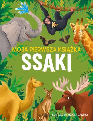Ssaki. Moja pierwsza książka. Autor: Eliza Jeffery. SmakLiter.pl Okładka książki Ssaki. Moja pierwsza książka