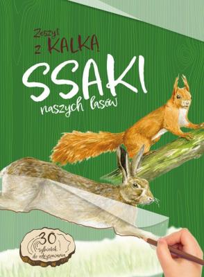 Ssaki naszych lasów. Zeszyt z kalką. Autor: Katarzyna Kopiec-Sekieta. SmakLiter.pl Okładka książki Ssaki naszych lasów. Zeszyt z kalką