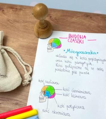 Opakowanie Stempel mózgoczaszka