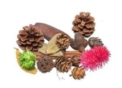 Opakowanie Susz dekoracyjny 30g