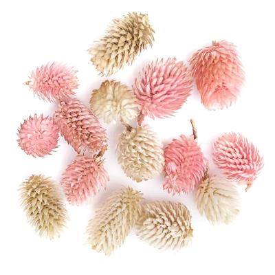 Opakowanie Suszone owoce dekoracyjne mix 14 sztuk