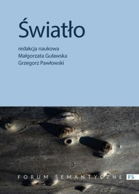 Światło Przyczynek do badań interdyscyplinarnych. Autor: Opracowanie zbiorowe. SmakLiter.pl Okładka książki Światło Przyczynek do badań interdyscyplinarnych