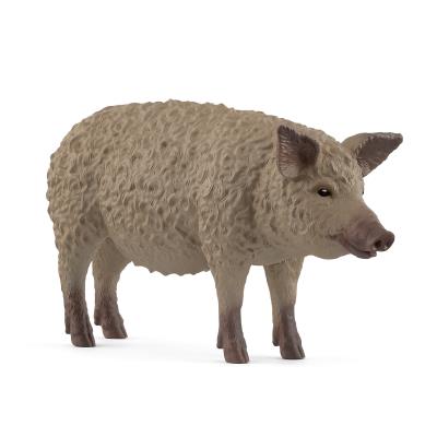 Opakowanie Świnia Mangalica