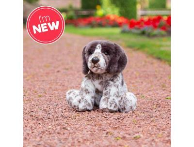 Opakowanie Szczeniak Pointer