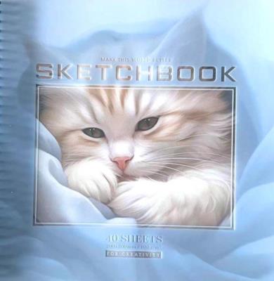 Opakowanie Szkicownik 200x200/40K gładki Kotek FRESH