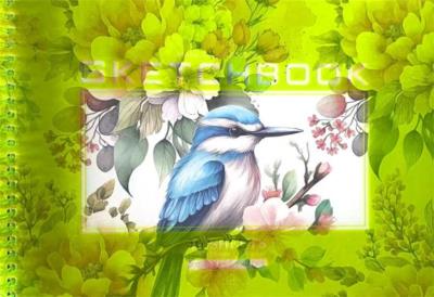 Opakowanie Szkicownik A5/40K koło gładki Zimorodek FRESH