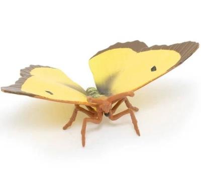 Opakowanie Szlaczkoń sylwetnik