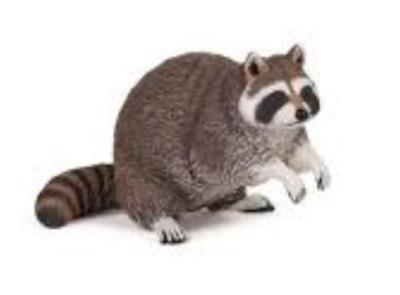 Szop pracz. Wydawca: PAPO. SmakLiter.pl Opakowanie Szop pracz