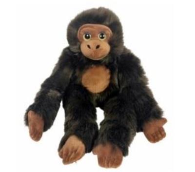 Opakowanie Szympans big eyes 50cm