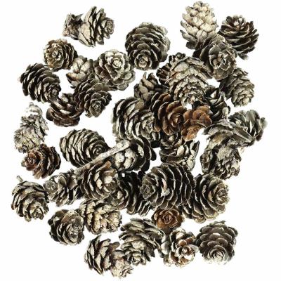 Opakowanie Szyszki ośnieżone