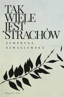 Okładka książki Tak wiele jest strachów DL