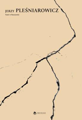 Teatr w Rzeszowie. Autor: Pleśniarowicz Jerzy. SmakLiter.pl Okładka książki Teatr w Rzeszowie