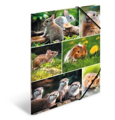 Opakowanie Teczka A4 gumki narożne - Gryzonie