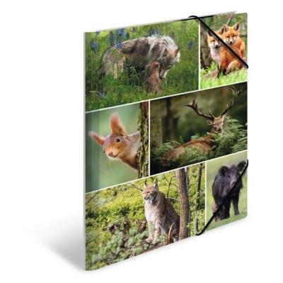 Opakowanie Teczka A4 gumki narożne - Leśne zwierzęta