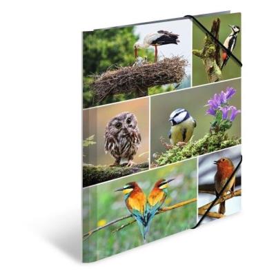 Opakowanie Teczka A4 gumki narożne - Ptaki