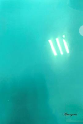 Opakowanie Teczka A4+ plastikowa koszulka L