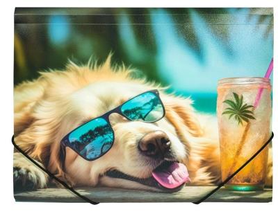 Teczka A4 PP z nadrukiem Chillout Dog. Wydawca: Centrum. SmakLiter.pl Opakowanie Teczka A4 PP z nadrukiem Chillout Dog