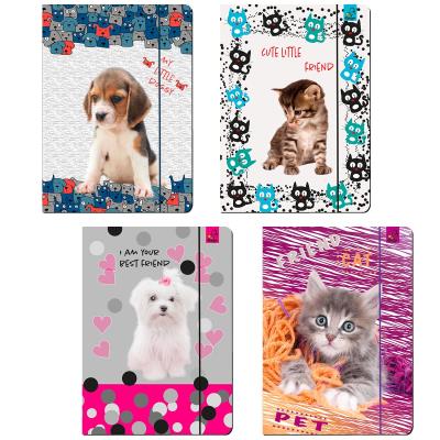 Opakowanie Teczka A4 z gumką best friend 8 szt. Mix